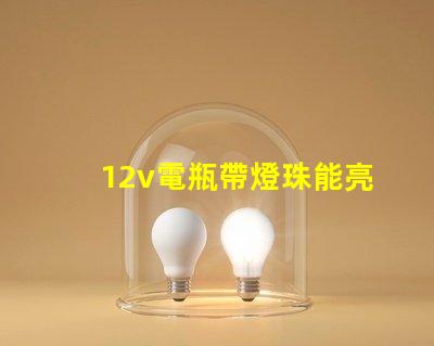 12v電瓶帶燈珠能亮多久 12v電瓶充電電流多大合適